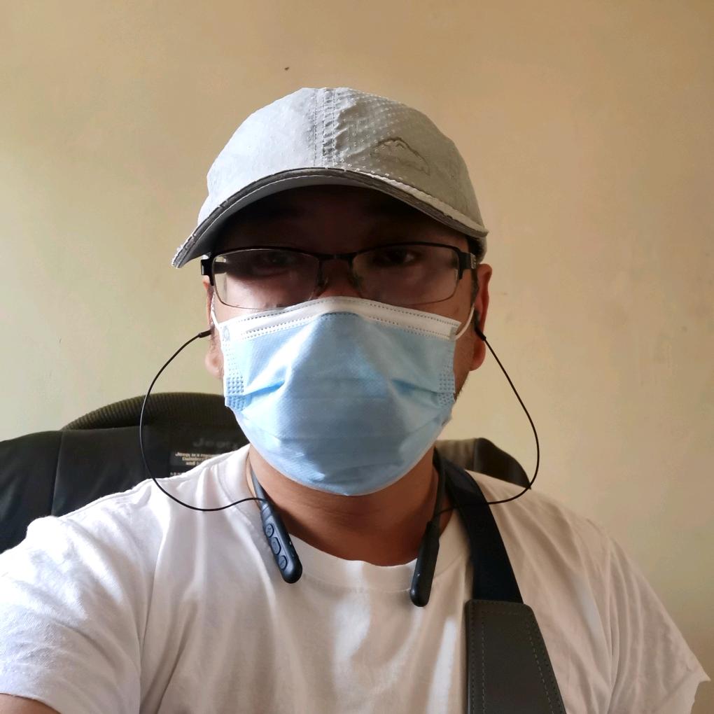 荒原的小丑鱼