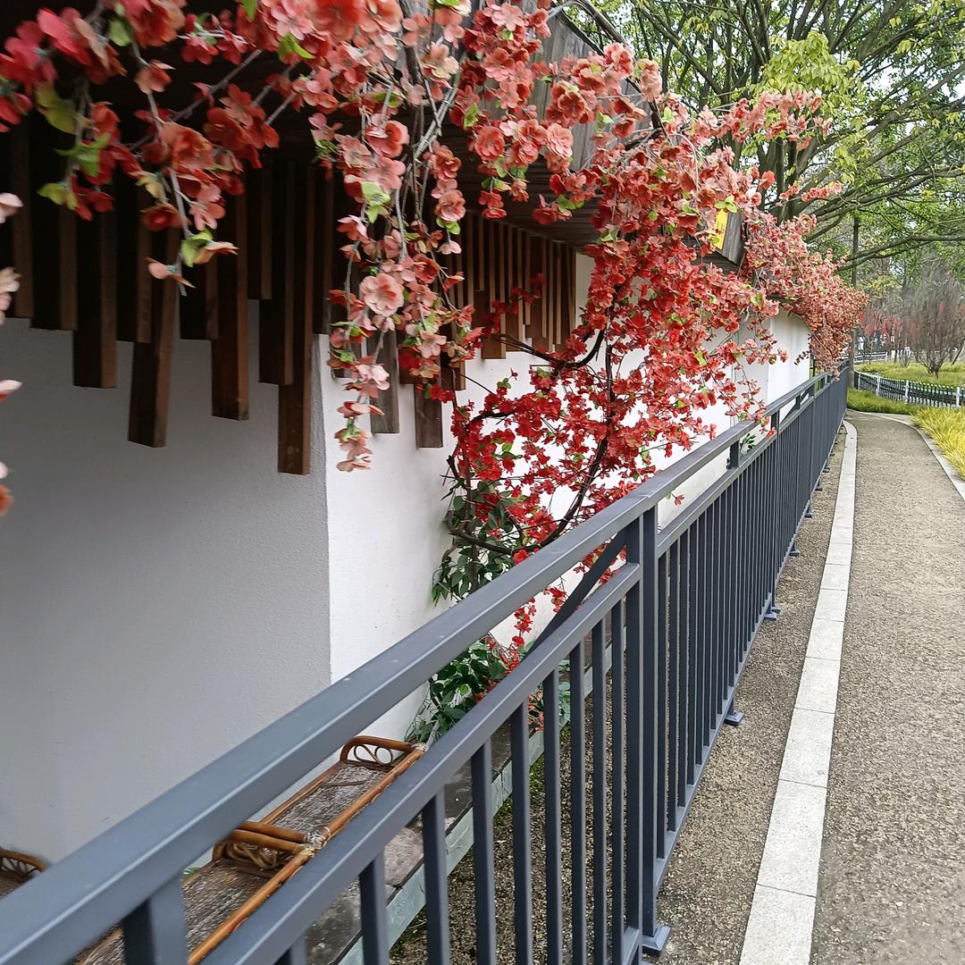 烟雨