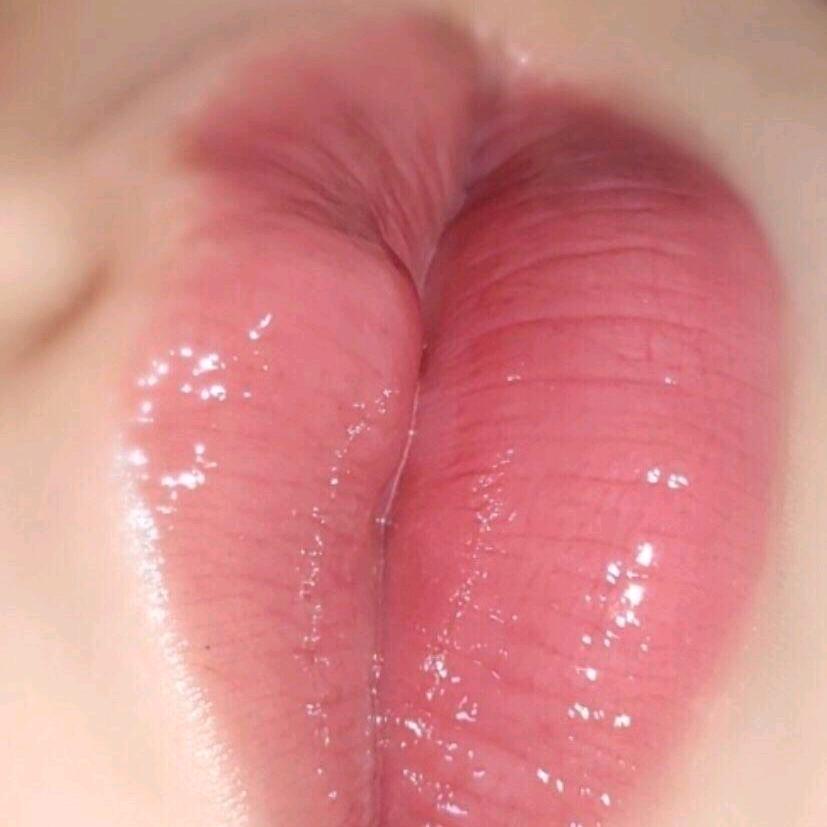 内涵的虾