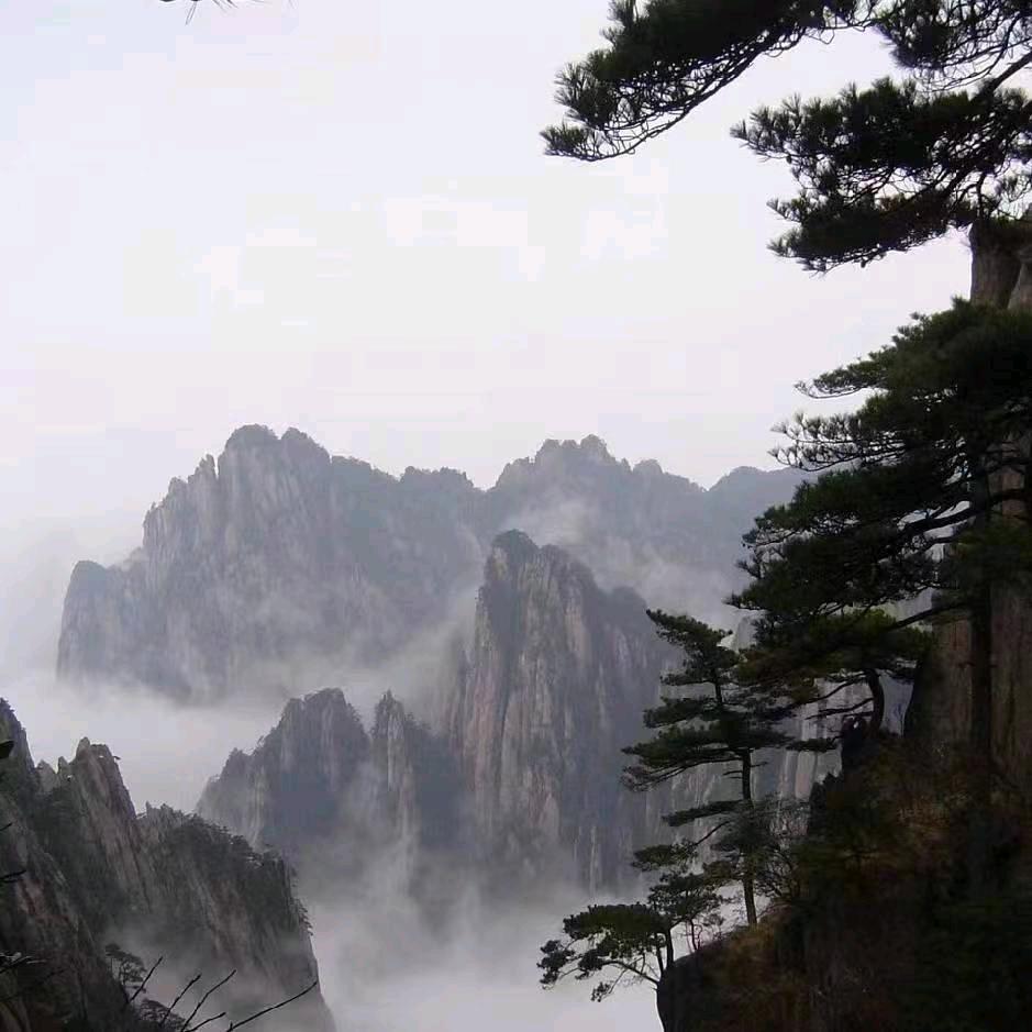 一往情深