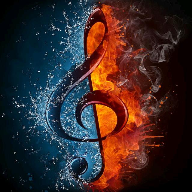 天天音乐🎶show