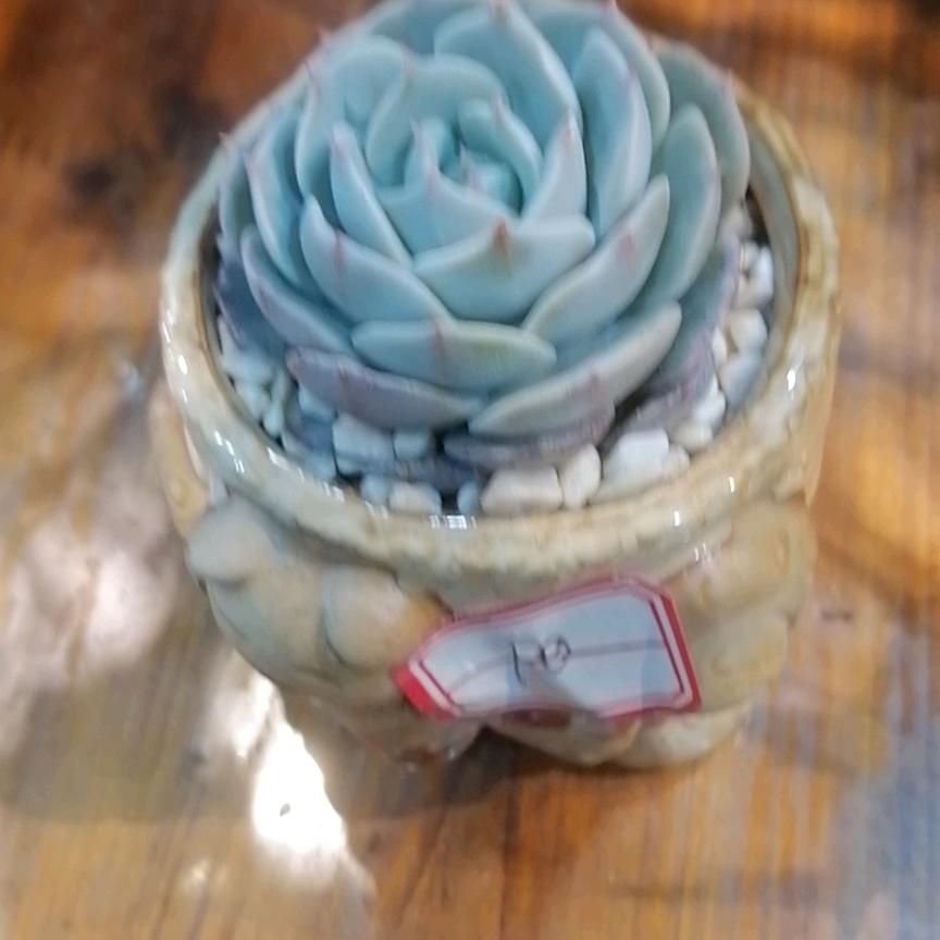 程鹏万里