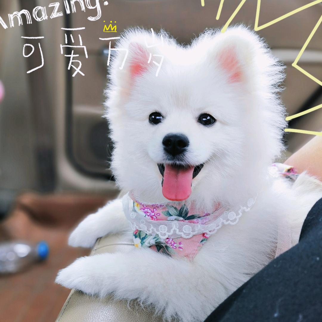 球球🍭