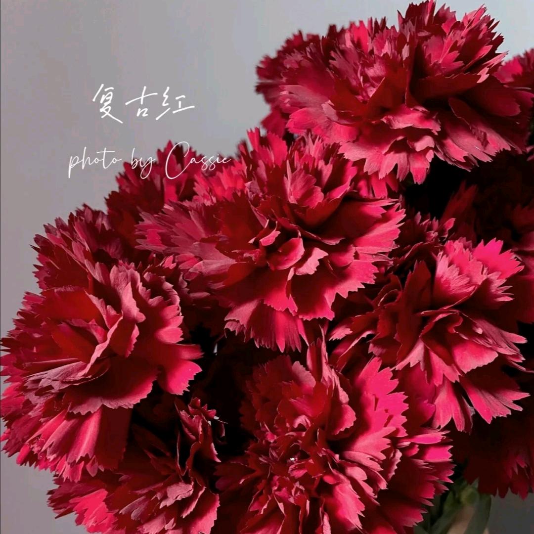 淡然回忆🌹Miss mom