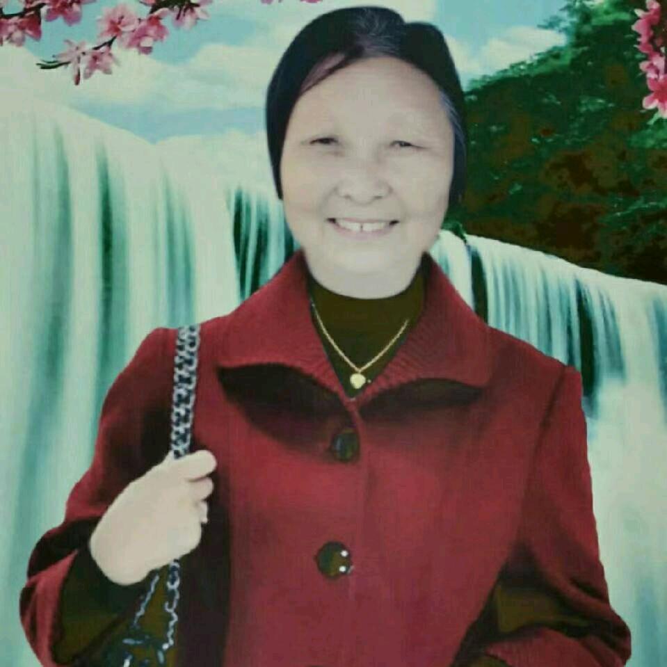 刘红英