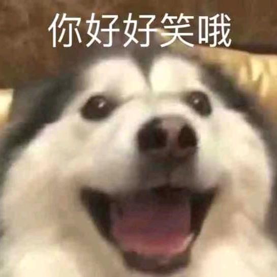 你可爱个屁