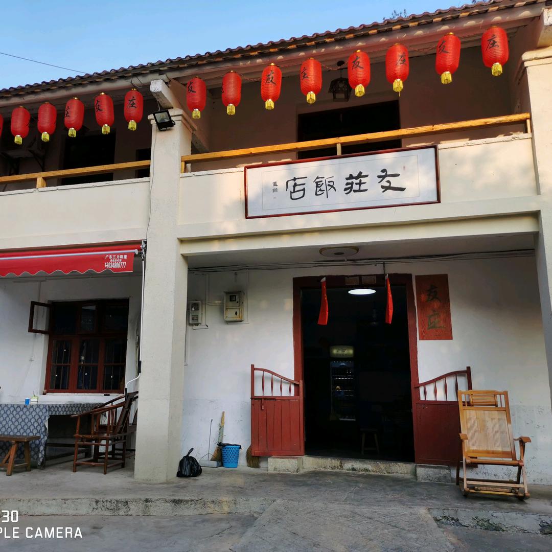 友庄饭店竹子