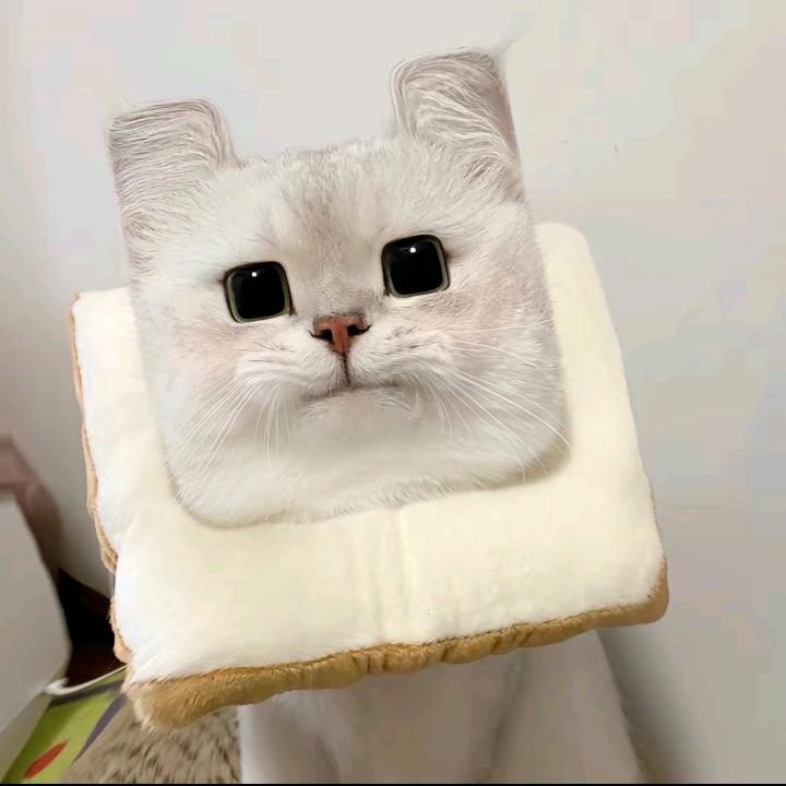 心跳.