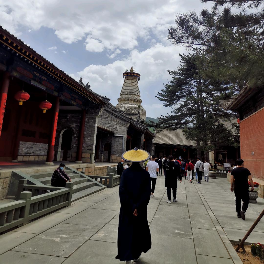 奔跑的小松鼠🐿️（橱窗好物）