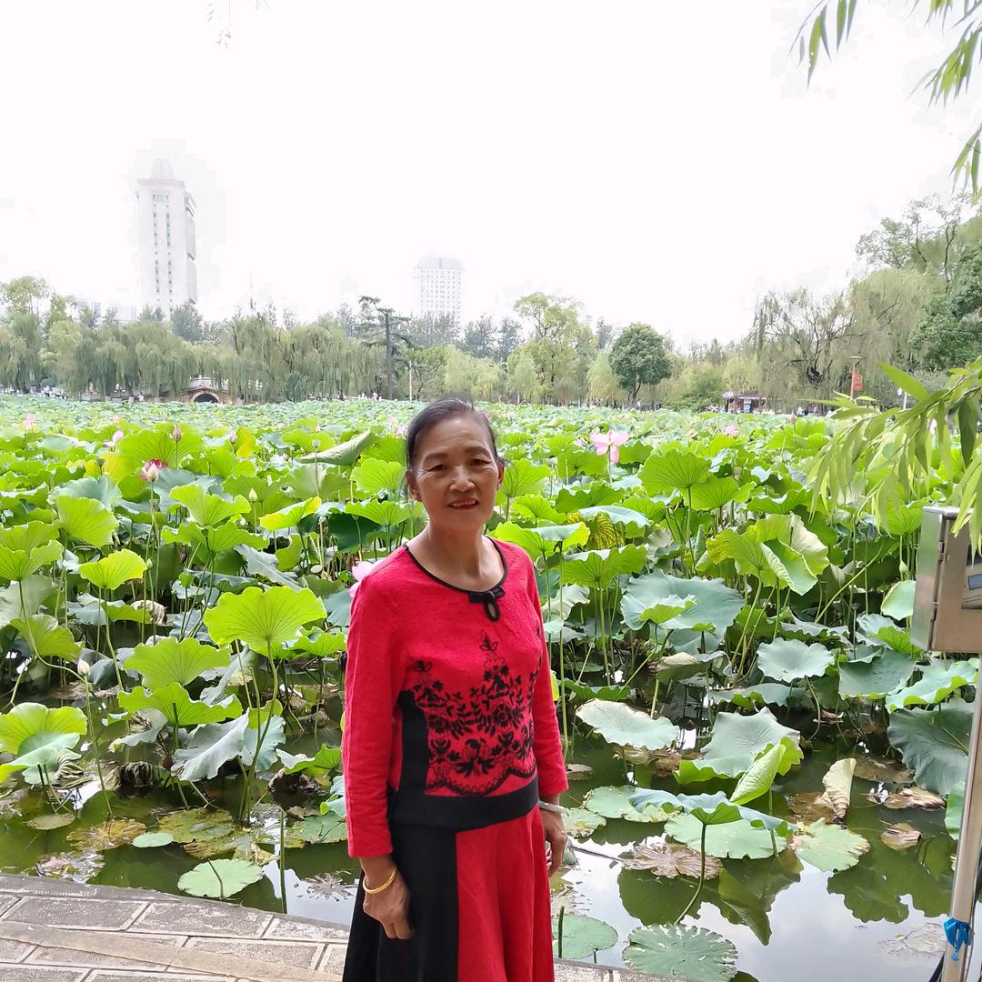 🌸花好🌸月圆🌸