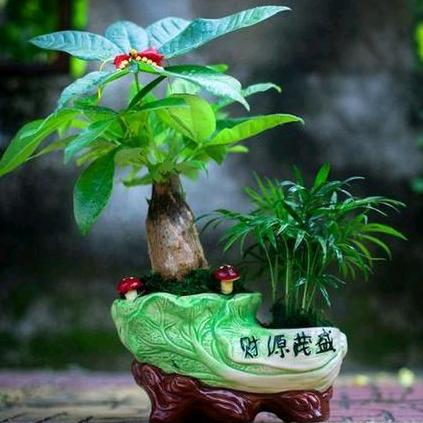 心想事成