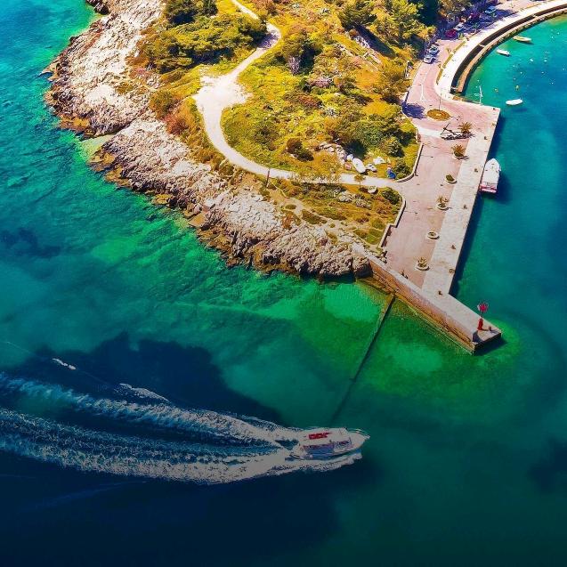 西蒙的朋友