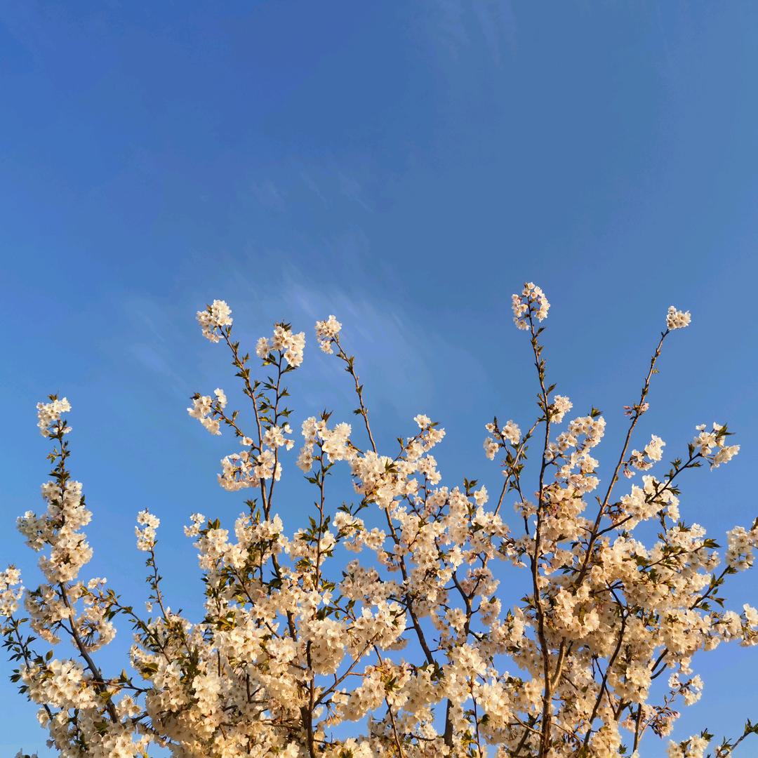 美康DTP连锁药房