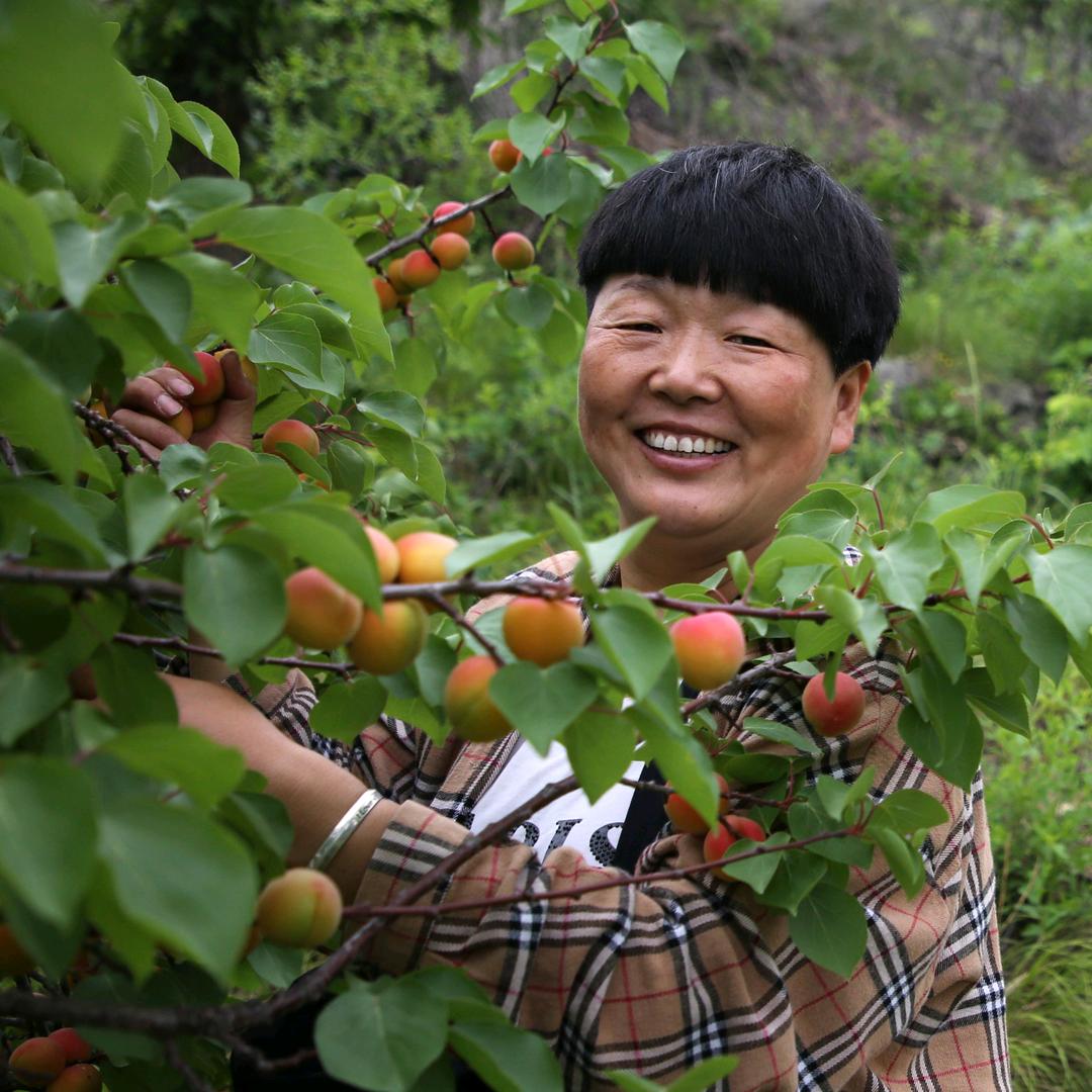 池上王疃水果金丽姐