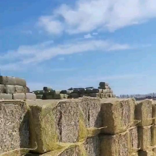 顺邦团队打捆草业