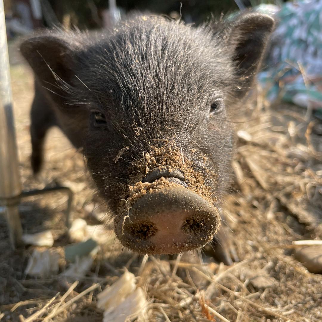 道关山水库（100通杀版）