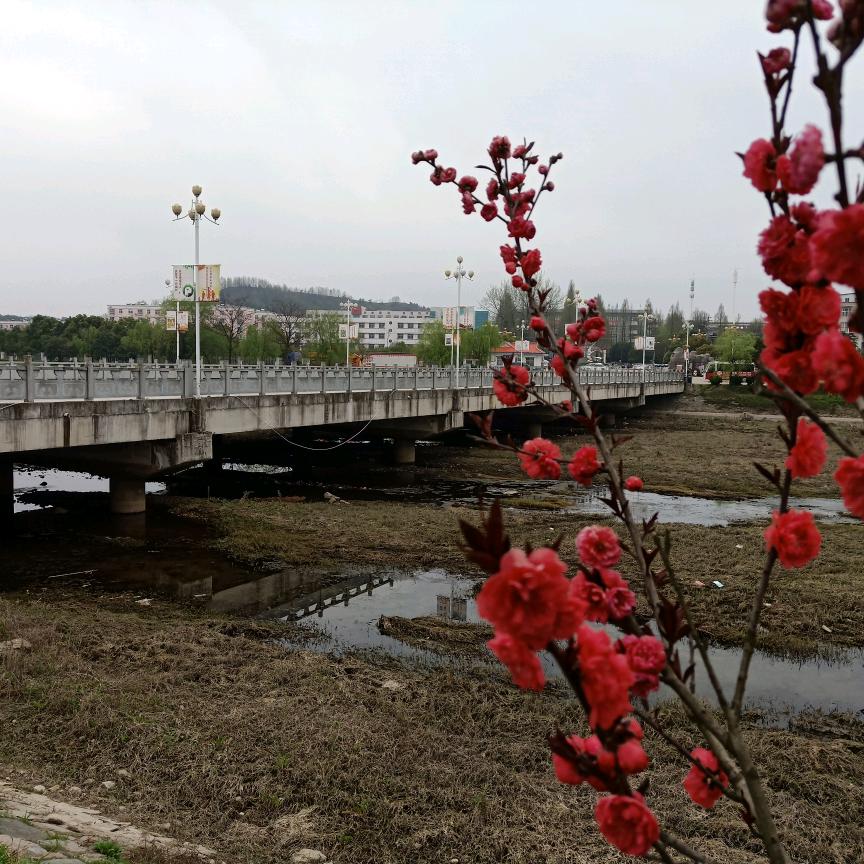 用户6175278426352南海