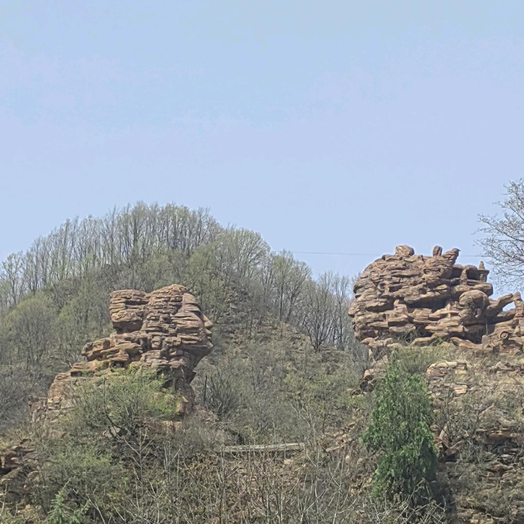 唯独宠李🐉