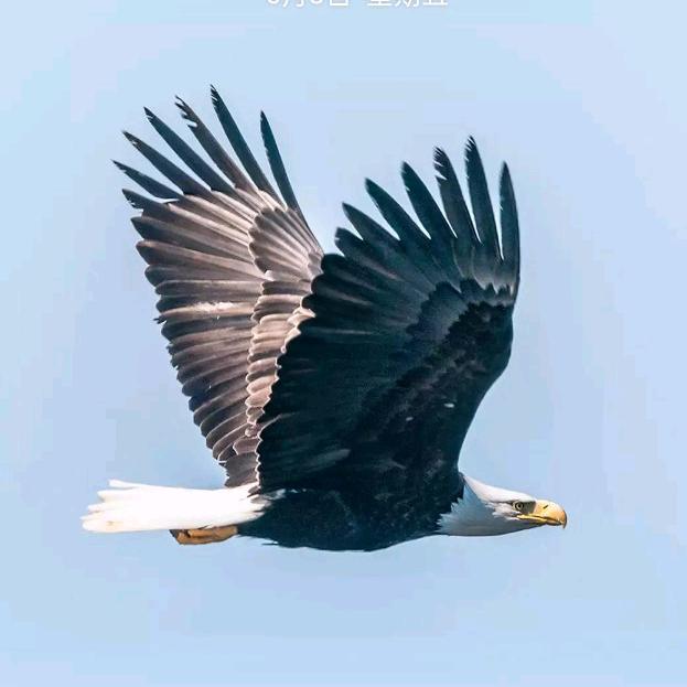 铜陵电子秤销售、维修    张哥