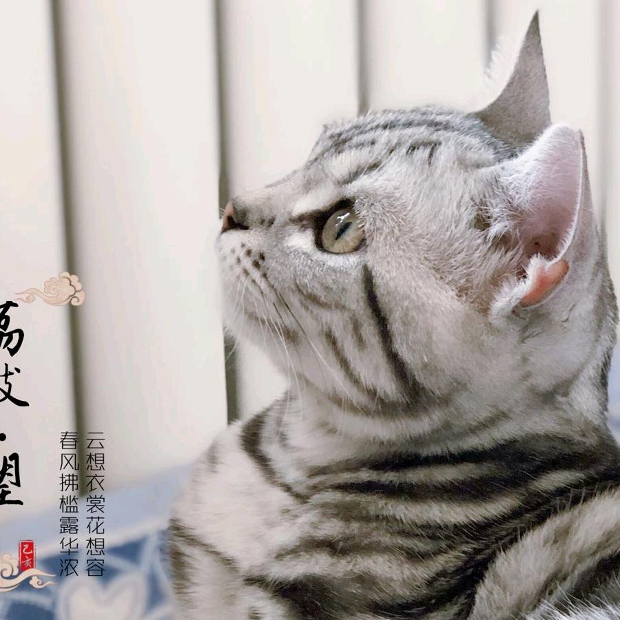 小付同学