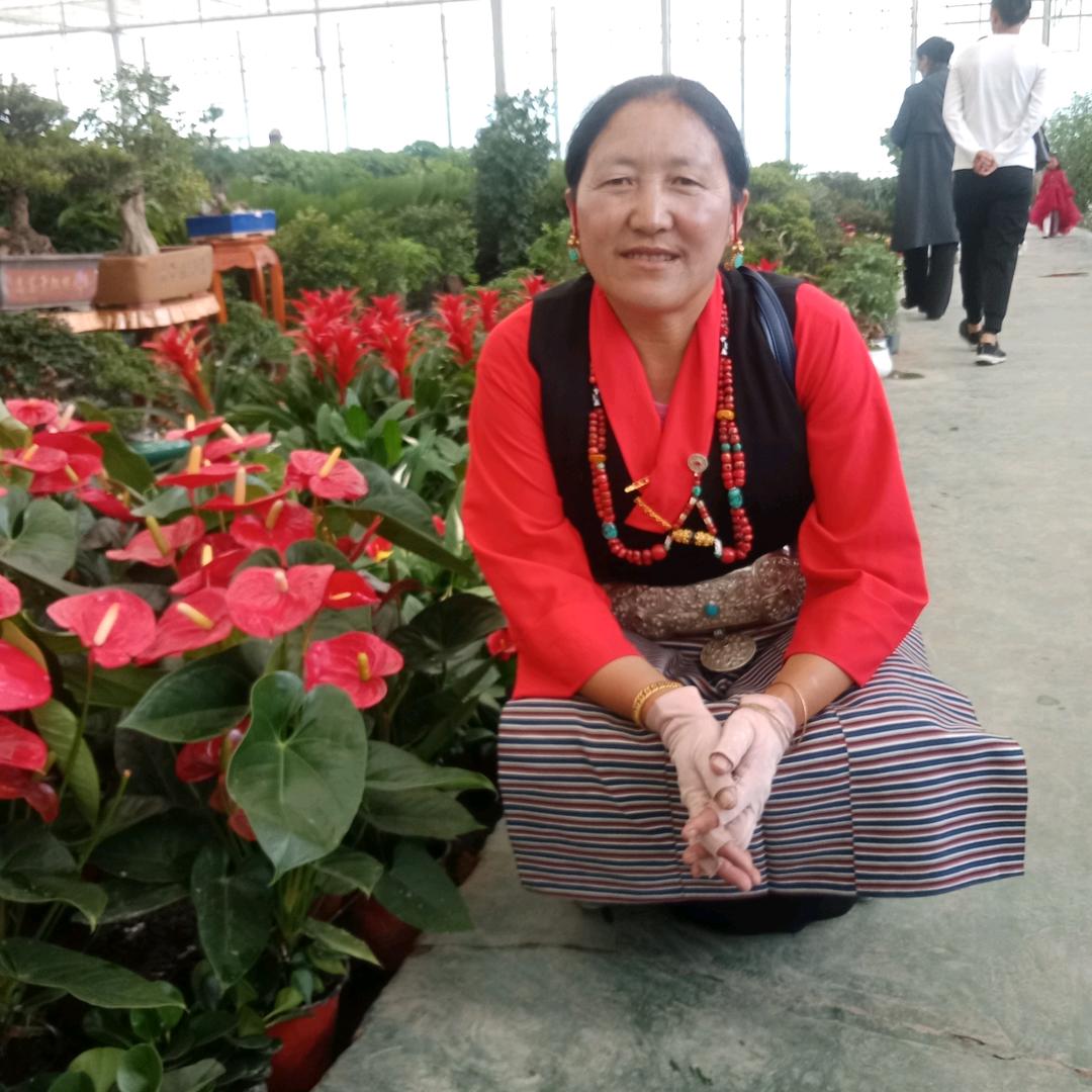 普姆