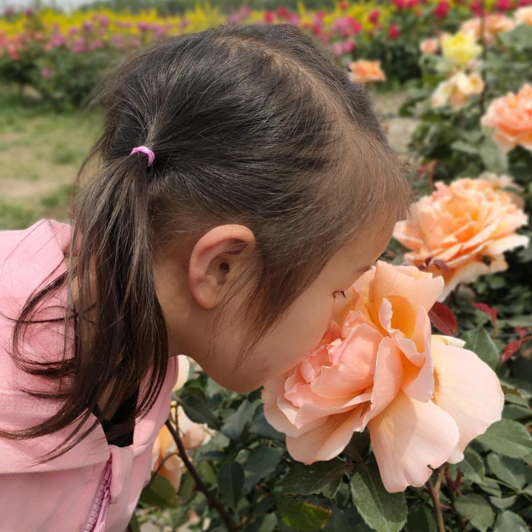 🌸🌸🌸尹❤❤