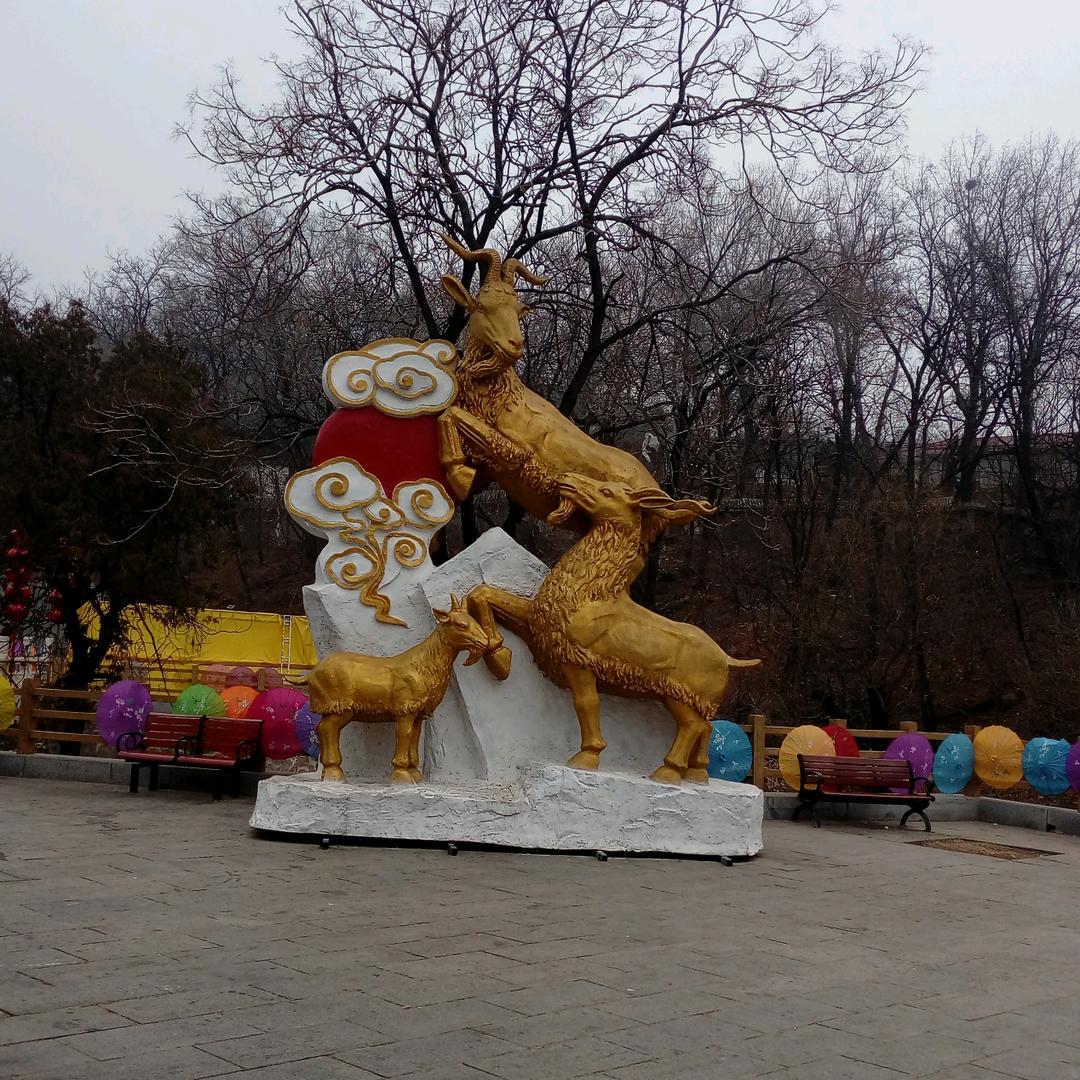 踏雪寻梅
