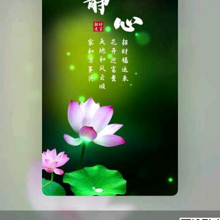 静心