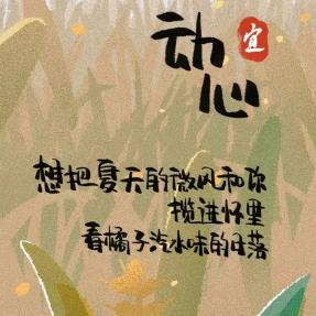 老宋