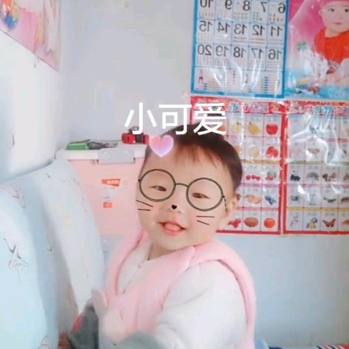 樱花雨梦