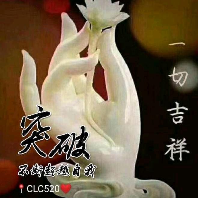 不望努力过，余生随缘吧