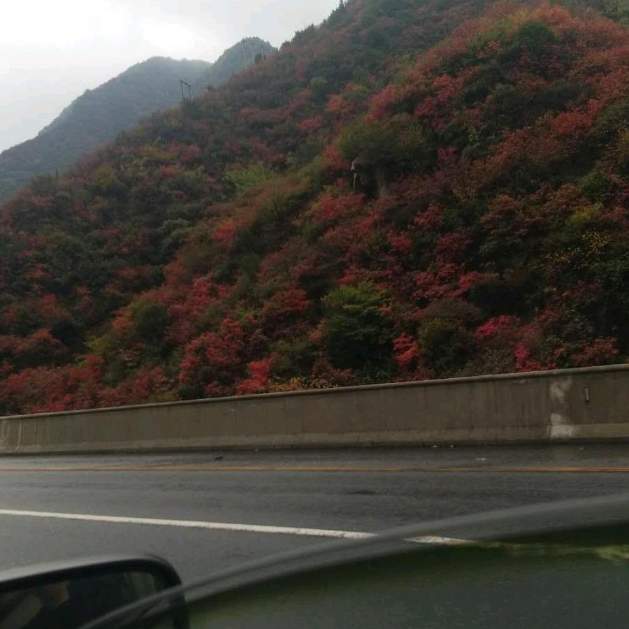 初秋美景
