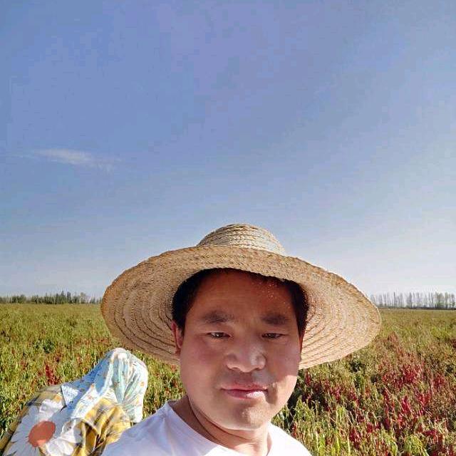 王百万🎤