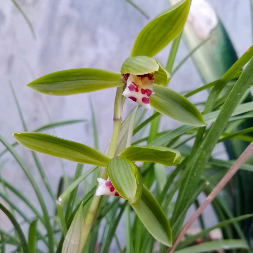 朝阳轮胎摩托修理5188&