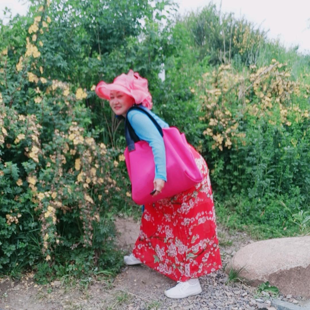 自由女侠
