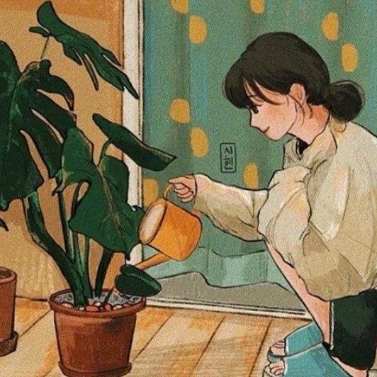 不要啰B嗦
