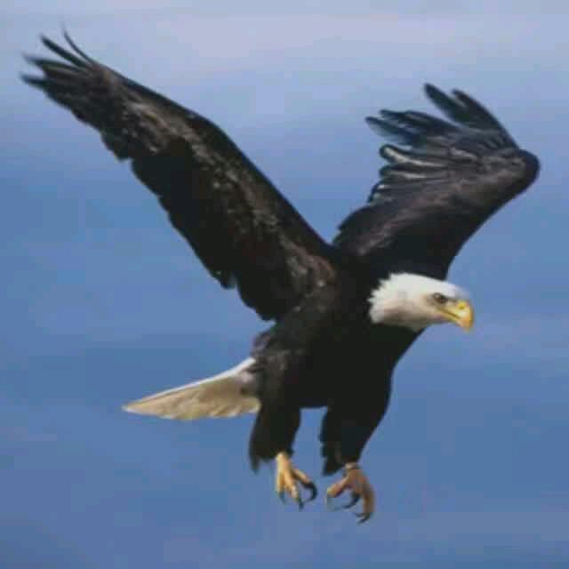 阳光大酒店赵海军