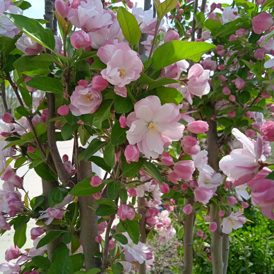 陪伴