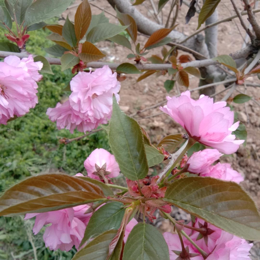 :)我爱我家巜请不要连赞》