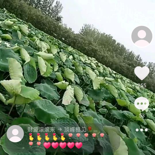 财源滚滚来