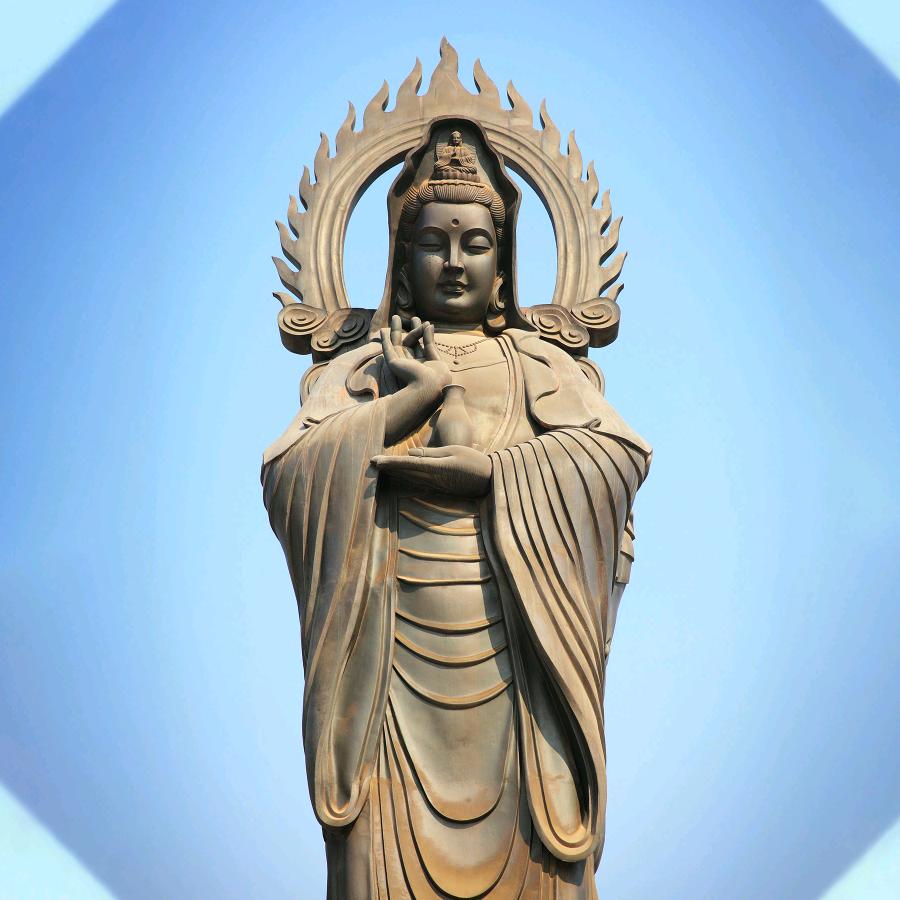 心向阳🌞