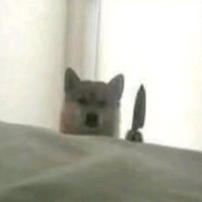 灵汐