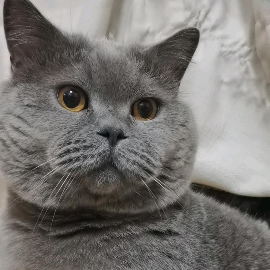 许许.