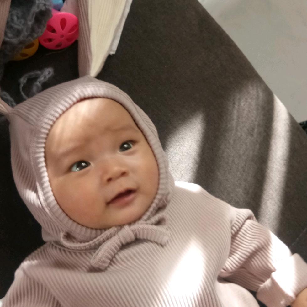 李（劳斯莱斯）