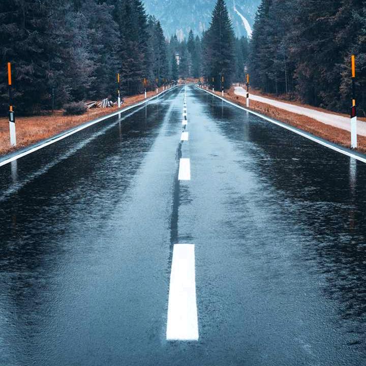 @鱼鱼