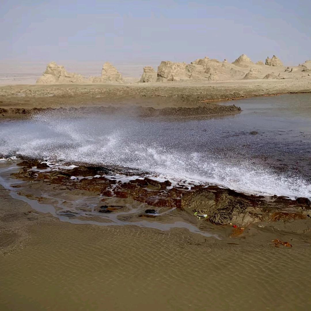 人生何处不相逢