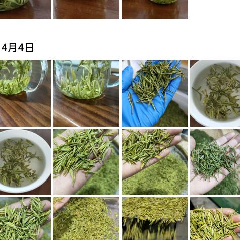 溪龙康乐茶厂，金才志
