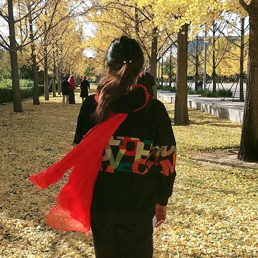 隐形🌹的🌹翅膀