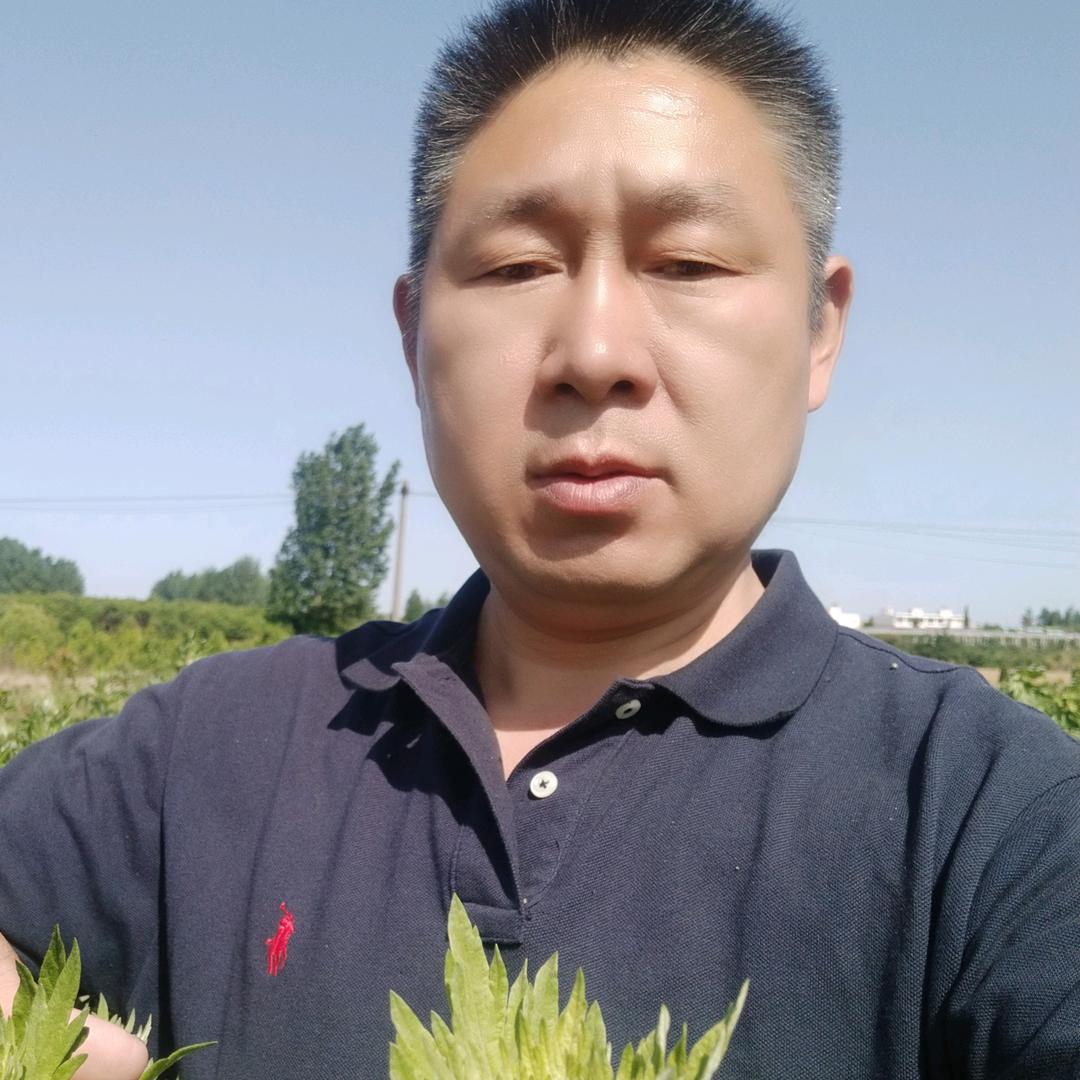 艾草种植哥，南阳庆团艾业［艾草协会］