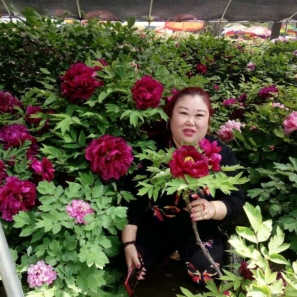 开心果～～